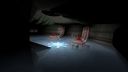 A Sanctuary of Mental preview