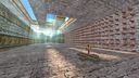 Beast Hunt (Part one) preview