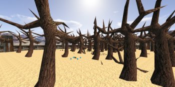 Dorny Woodfight